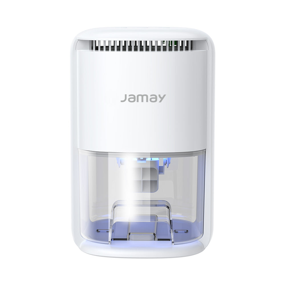 Home Small Dehumidifier D01