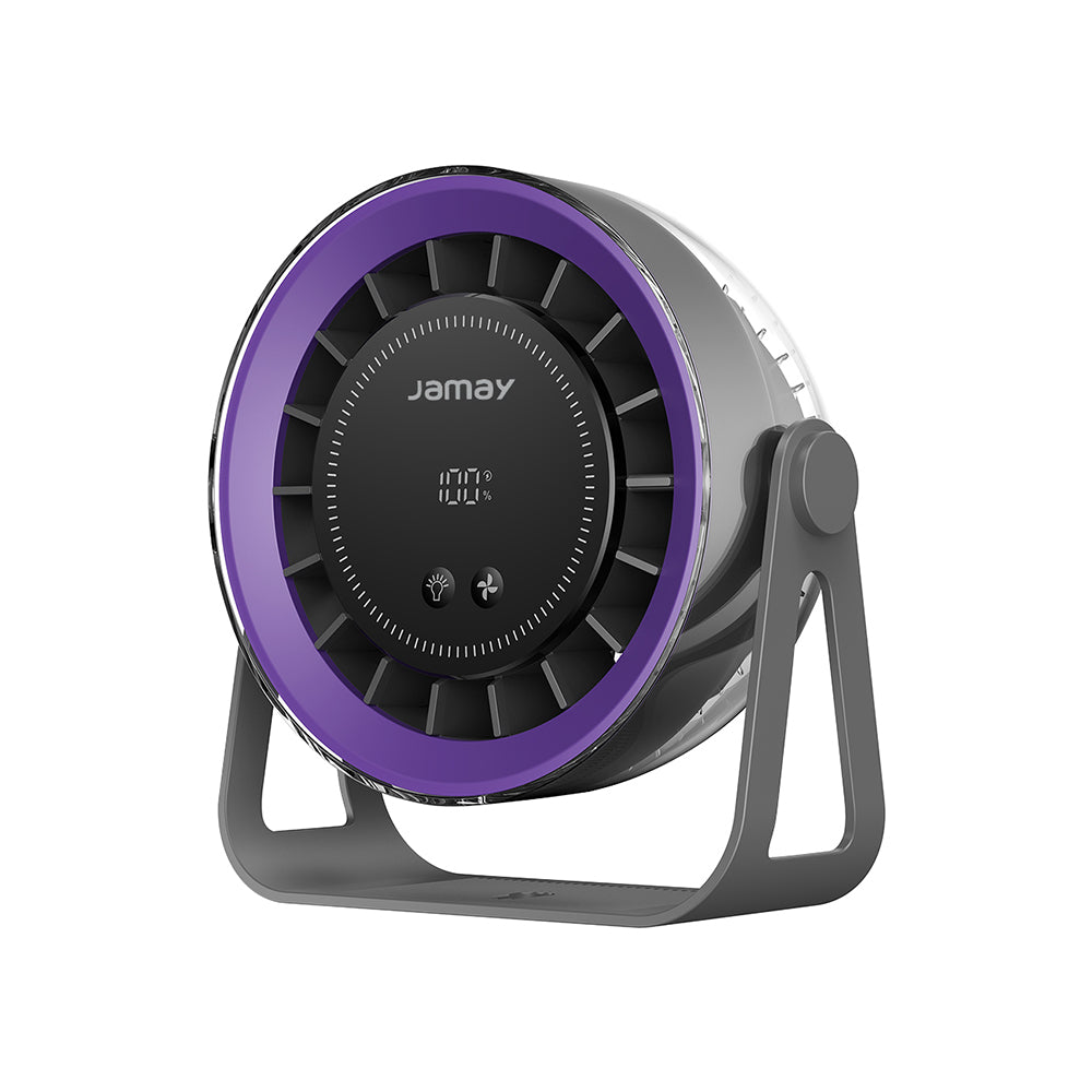 Table Fan F20