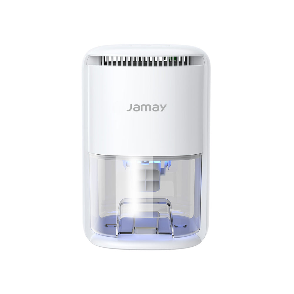 Home Small Dehumidifier D01